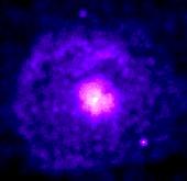 A supernova remnant in the constellation Scutum.(Credit: NASA/CXC/SAO)