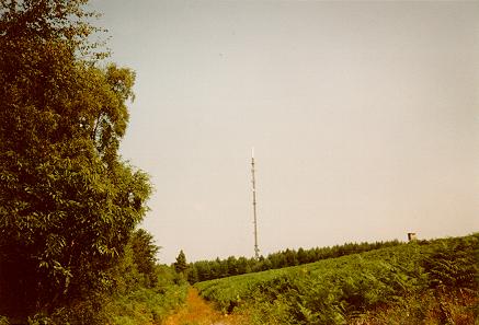 Midhurst TV mast