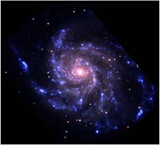 M101 Optical