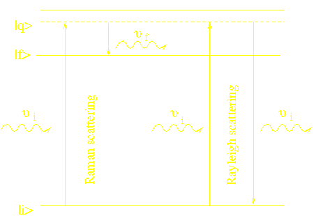 [No Imaging]
