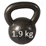 1.9 kg