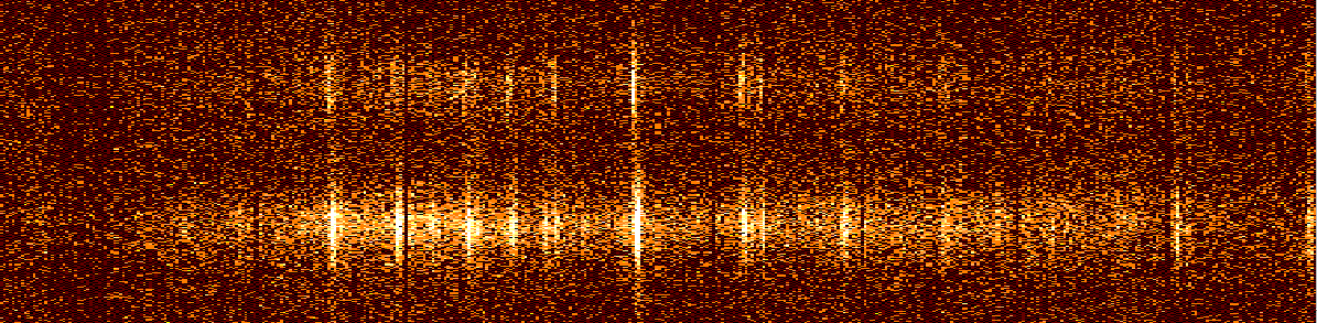 XMM-Newton RGS spectra of YY Gem and Castor