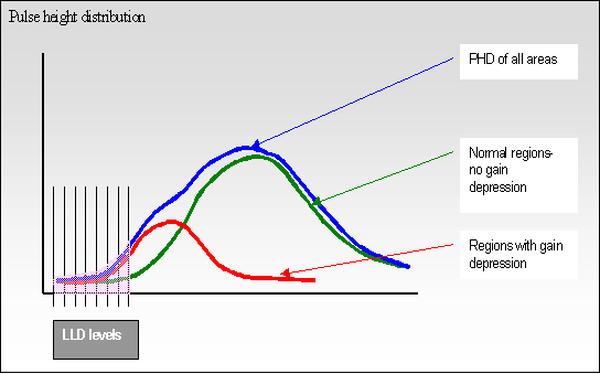 Sketch of PHD