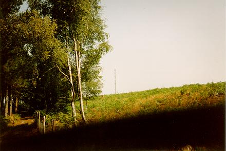 Midhurst TV mast